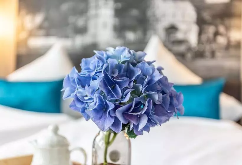 ベッドアンドブレックファースト Villa Sachsenhof