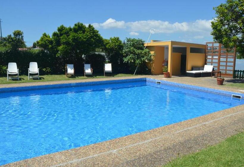 호텔 Casa Do Carvalho