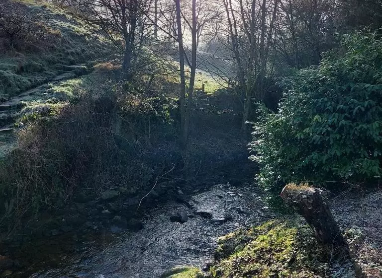 Hotelli Trawden Arms Community Owned Pub
