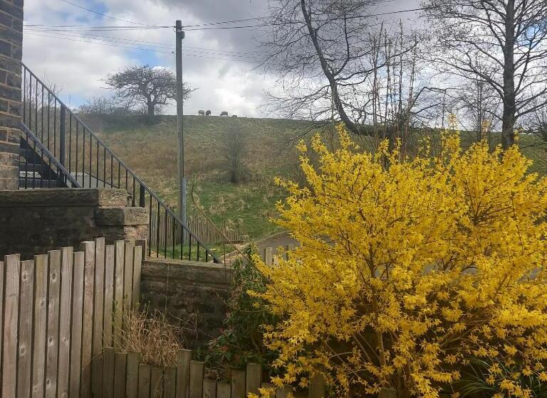 호텔 Trawden Arms Community Owned Pub