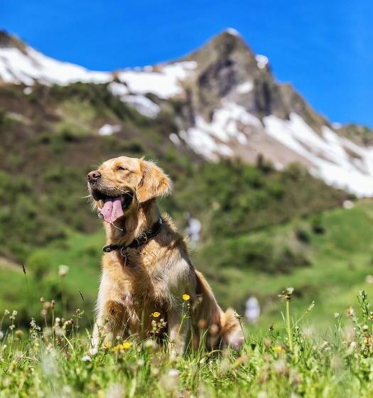 Natur Genuss Hotel Sonnasita