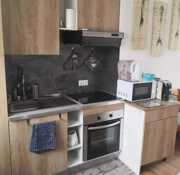 Majatalo La Ruche Cantalienne