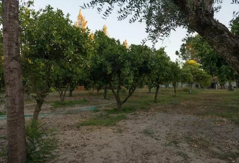 Majatalo Quinta Da Mimosa