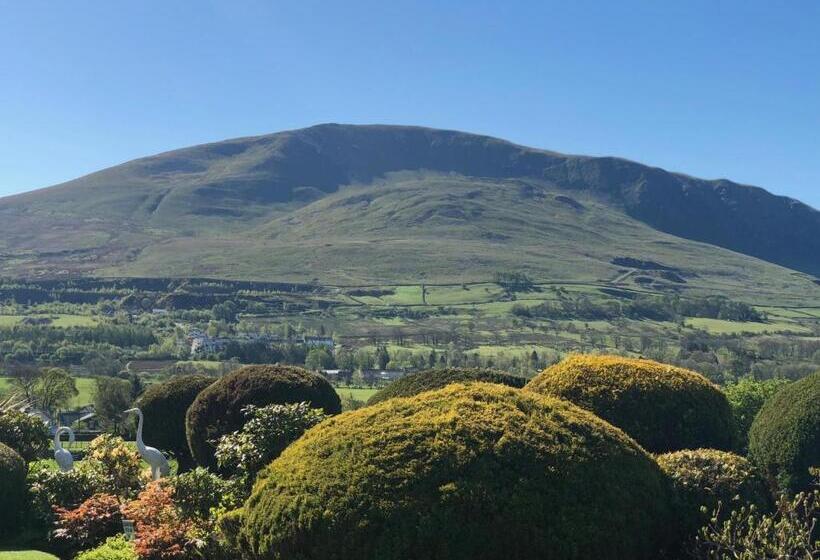 بنسيون The Bungalows Guesthouse
