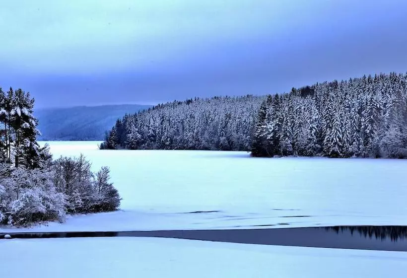 Majatalo The Green House Guesthouse Sunnemo