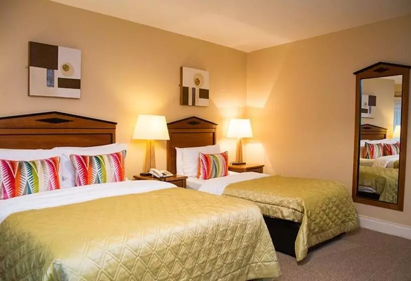 Отель Davitts Guesthouse