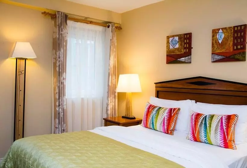 Отель Davitts Guesthouse