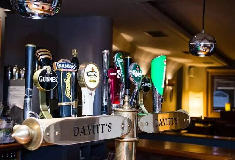 Отель Davitts Guesthouse