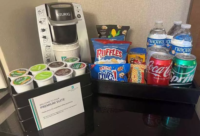 فندق Embassy Suites By Hilton Chicago Downtown Magnificent Mile