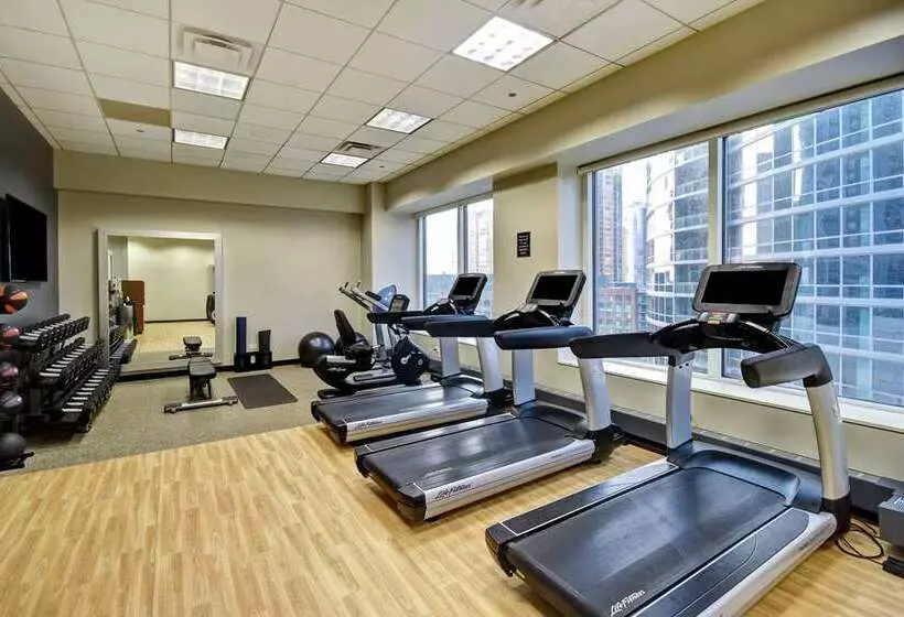 فندق Embassy Suites By Hilton Chicago Downtown Magnificent Mile