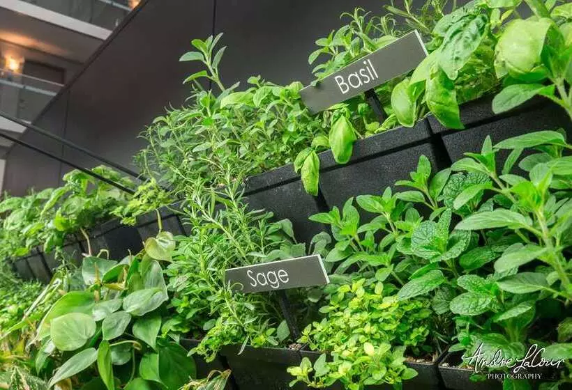 فندق Embassy Suites By Hilton Chicago Downtown Magnificent Mile