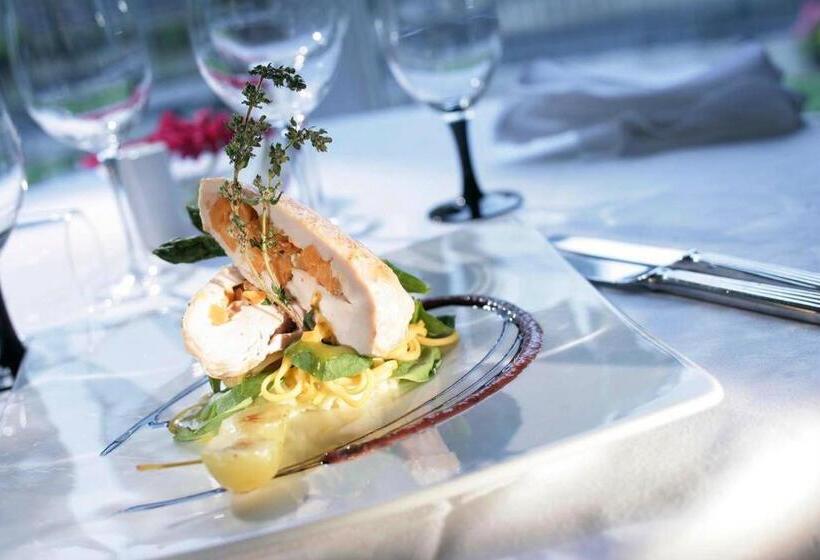 فندق Kilkenny River Court