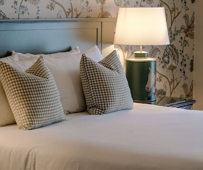 בית מלון כפרי The Abbeyleix Manor