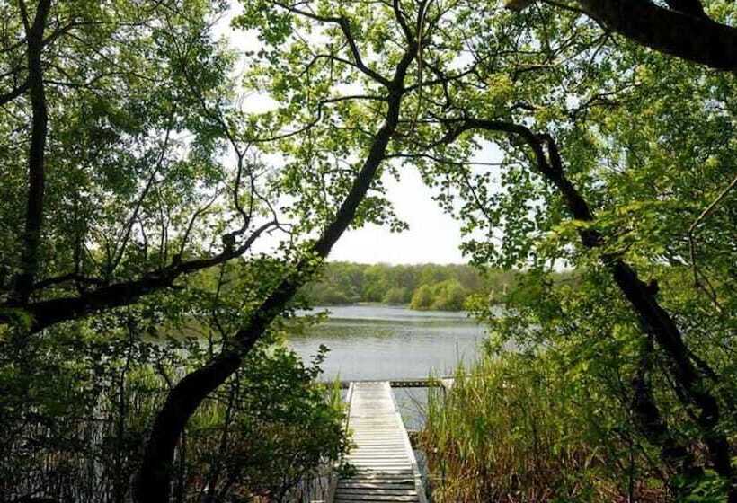 בית מלון כפרי The Abbeyleix Manor