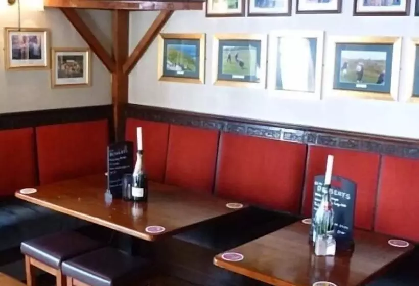 酒店 The White Lady