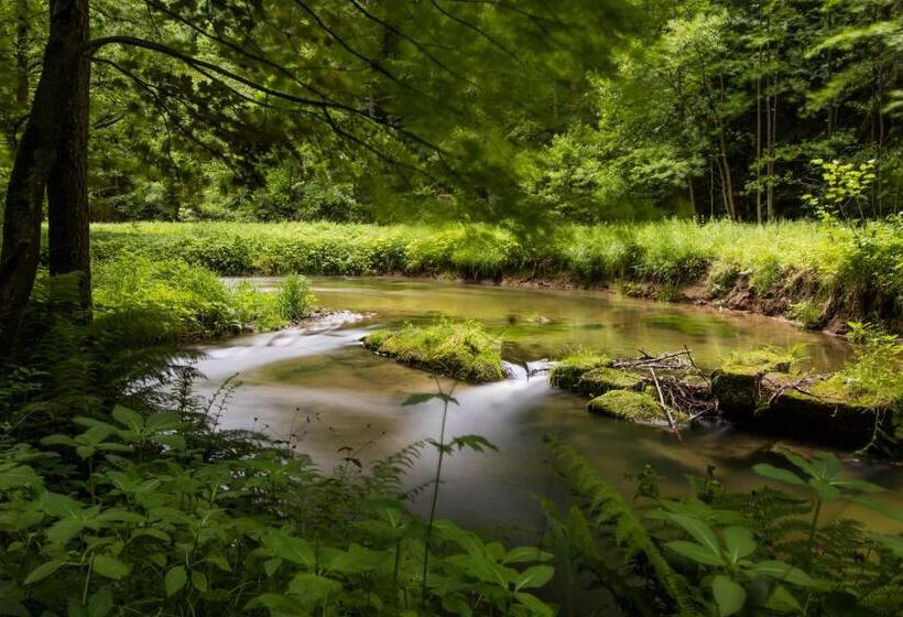 호스텔 Gasthaus Zum Wanderstübel