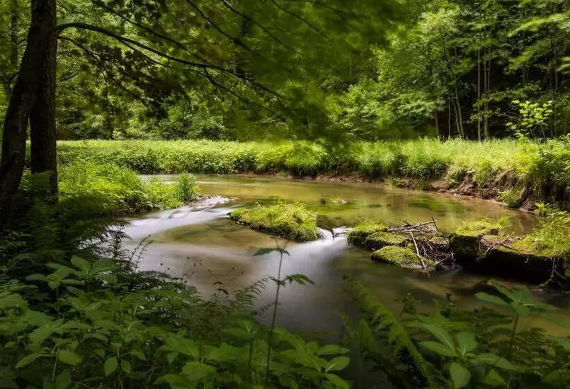Retkeilymaja Gasthaus Zum Wanderstübel