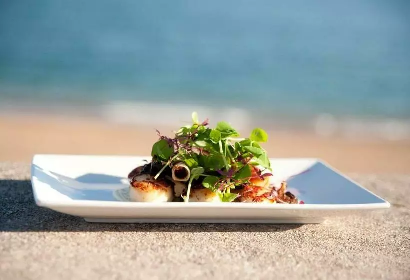 Alberg The Cricket Inn