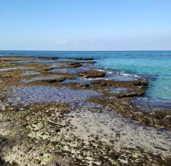 Benvenuti Al Sud B&b