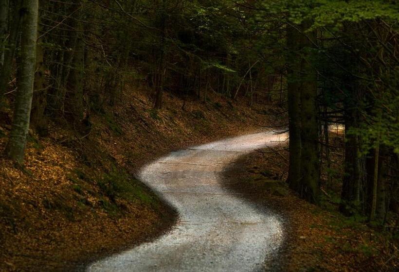 Hostel L Ost Ostello Di Grumes