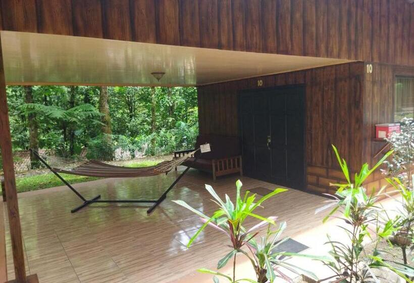 ホテル Recreo Verde Hot Springs & Spa