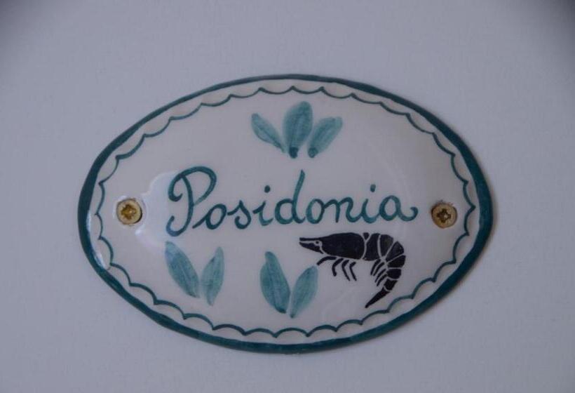 膳宿费 Gambero Nero