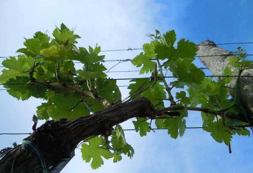 ペンション Gästehaus Wildpert