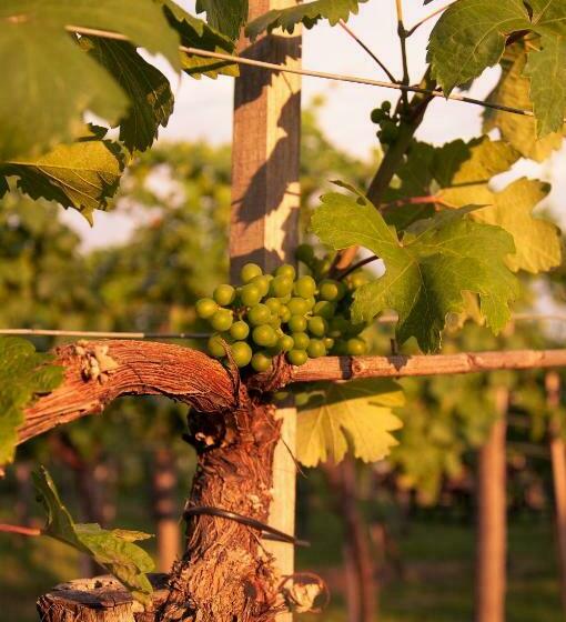 ペンション Gästehaus Wildpert