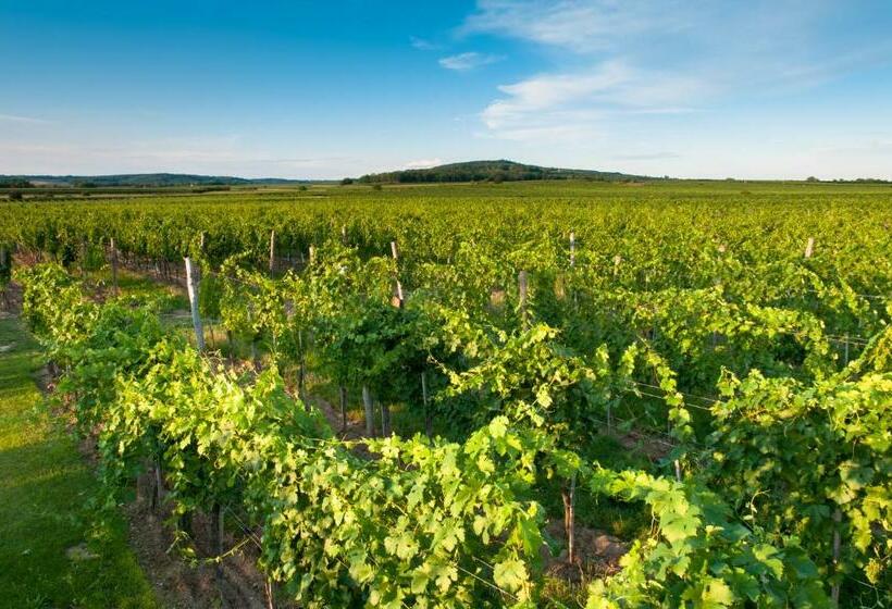 ペンション Gästehaus Wildpert