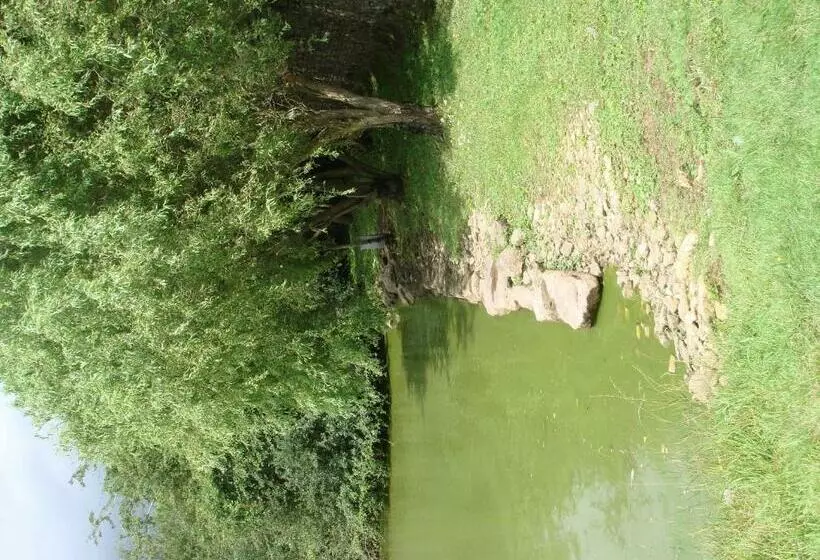 ペンション Manoir De La Baronnie