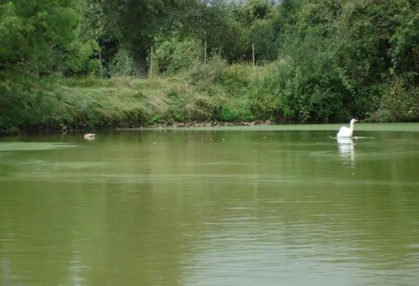 ペンション Manoir De La Baronnie