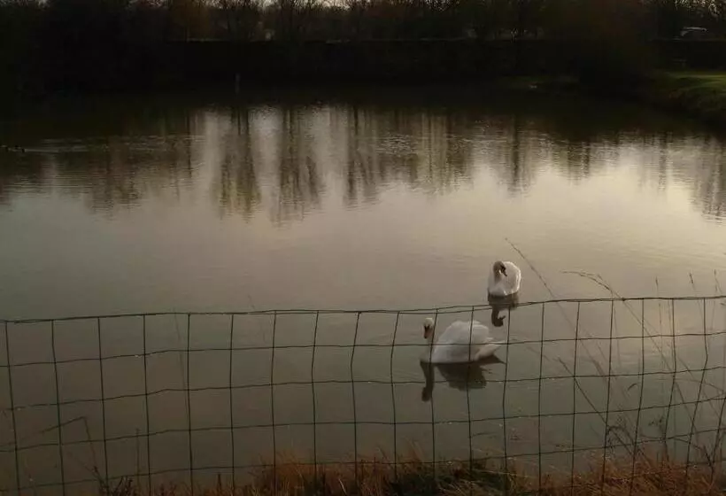 ペンション Manoir De La Baronnie