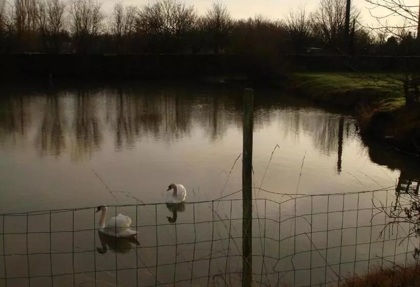 ペンション Manoir De La Baronnie