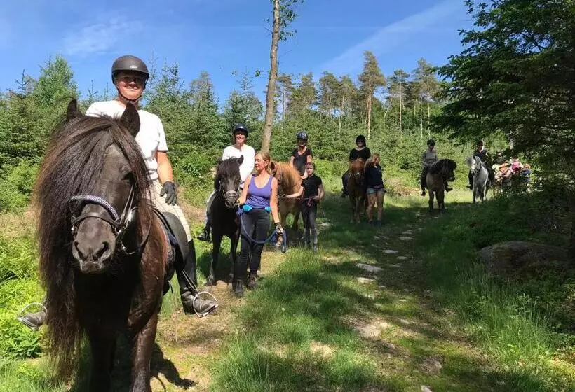 Tuvagård B&b Vindhästar