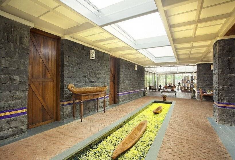 Amanzi   The Boutique Resort