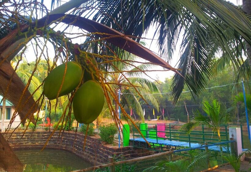 Daaven's Island Resort