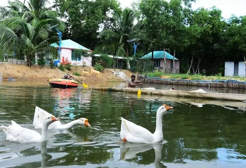 Daaven's Island Resort