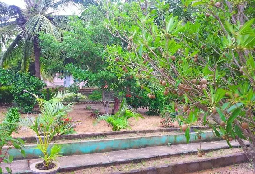 Daaven's Island Resort