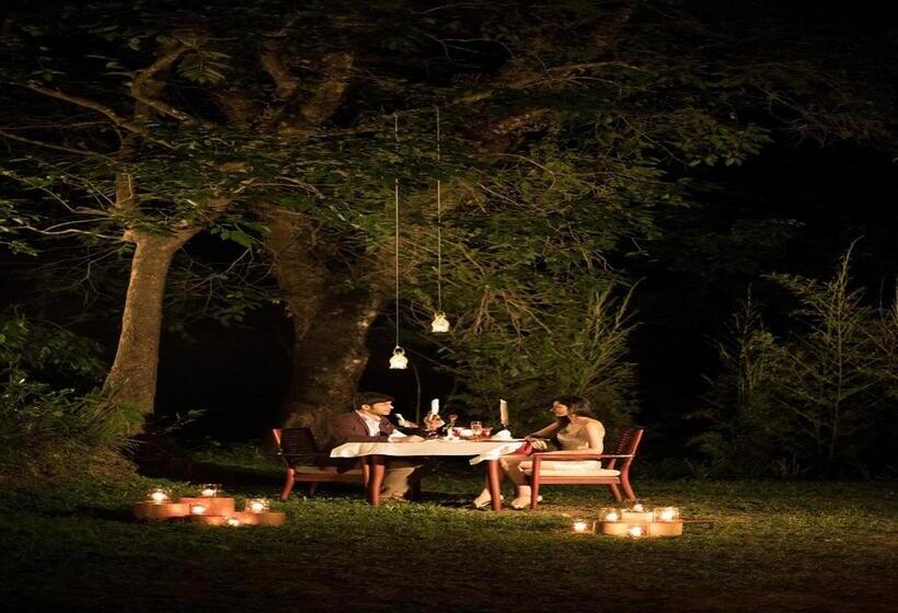 渡假胜地  The Tamara Coorg