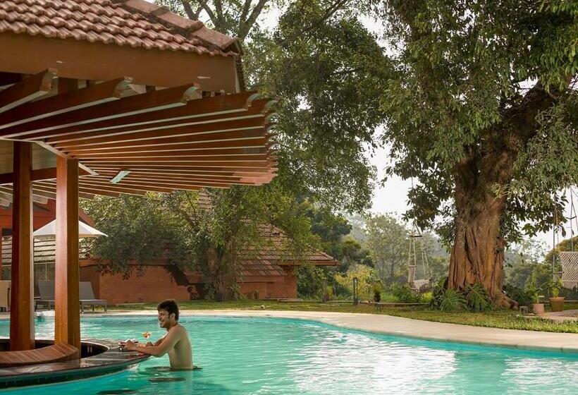 渡假胜地  The Tamara Coorg