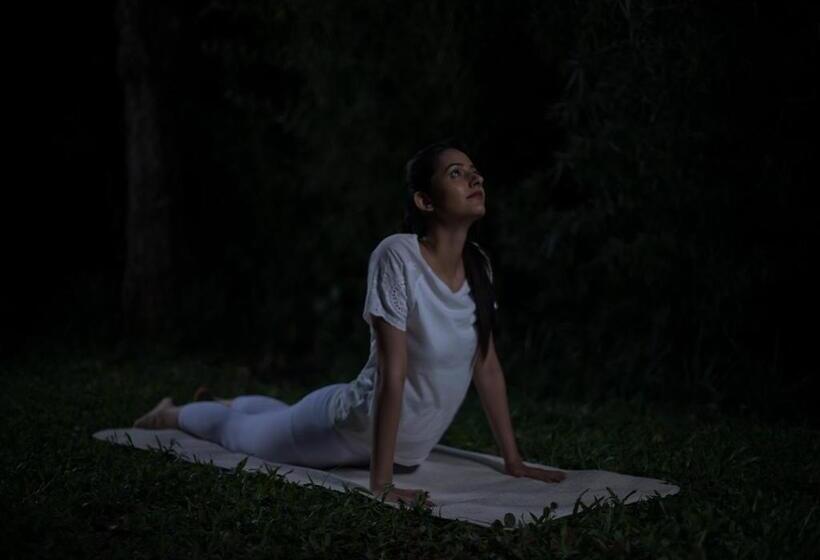 渡假胜地  The Tamara Coorg