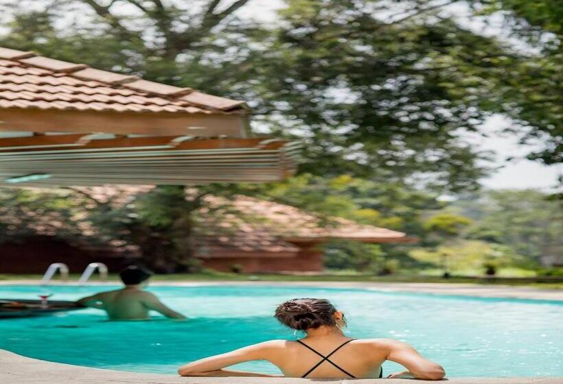 渡假胜地  The Tamara Coorg