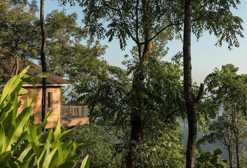 渡假胜地  The Tamara Coorg