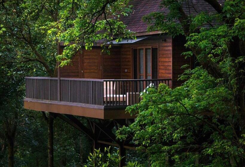 渡假胜地  The Tamara Coorg