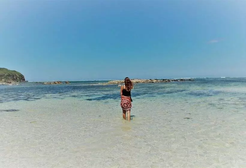 ベッドアンドブレックファースト Charlies Shack Lombok