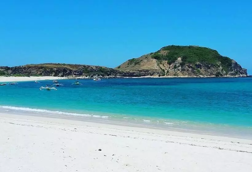 ベッドアンドブレックファースト Charlies Shack Lombok