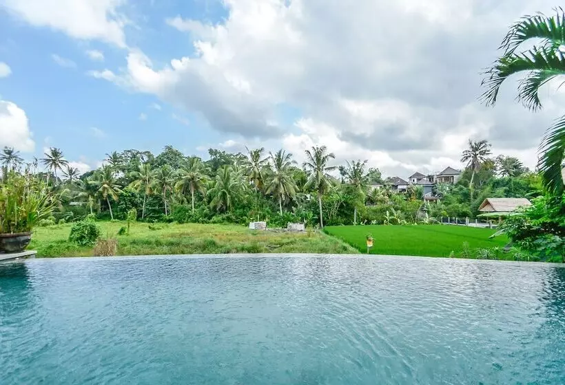 Bed and Breakfast Le Sabot Ubud