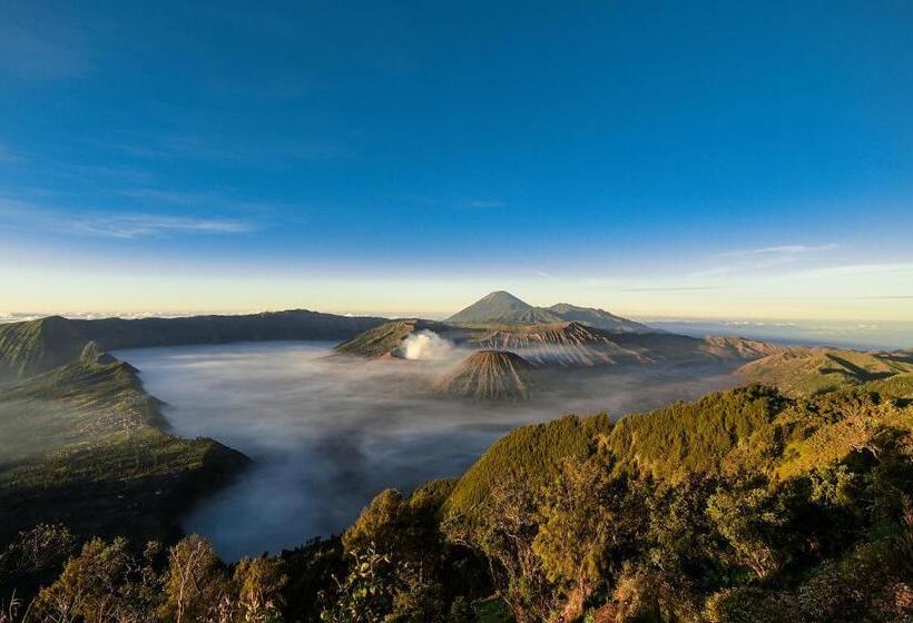 Grand Whiz Hotel Bromo
