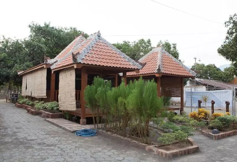 Hotelli Reddoorz Near Baluran National Park