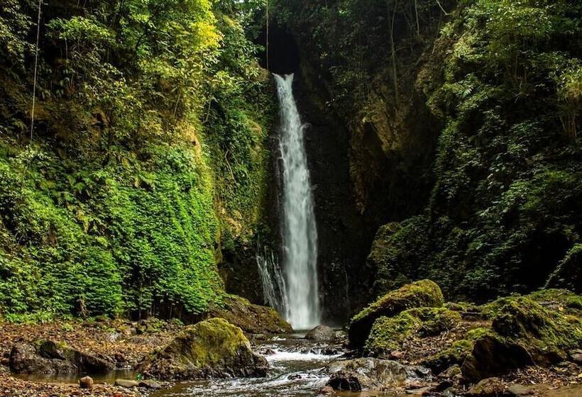 膳宿费 Jro Maman Guest House Adults Only